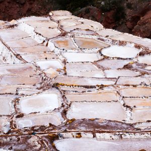 SALAR DE SALINAS y BAÑOS DE LOJEN